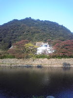 115abd55.jpg