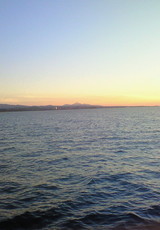 15b92f81.jpg