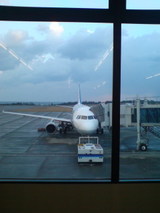 195a08b7.jpg