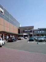 1d35958e.jpg