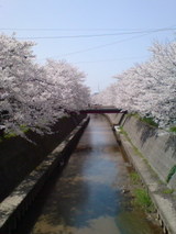 291320e5.jpg