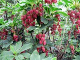 2f6860d6.jpg