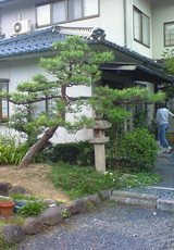 42d0b648.jpg