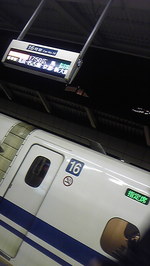 441cd658.jpg