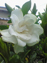 5b3bb7e1.jpg