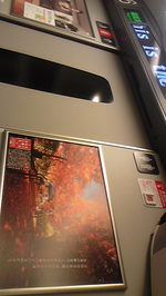 5e20f460.jpg