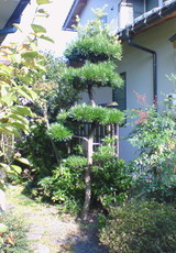 61fec59f.jpg