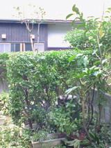 864d6838.jpg
