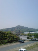 8dd79181.jpg