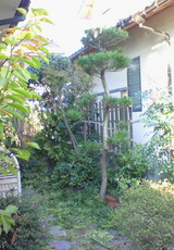 8ffae001.jpg