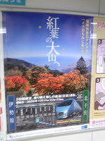 a99067f6.jpg