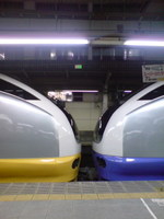 ac606600.jpg