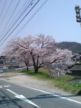 b398144d.jpg