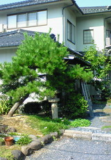 b5f501e3.jpg