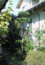 b8997768.jpg