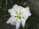 bdf012c5.JPG