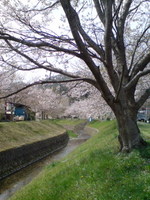c55f4d34.jpg