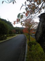 c6f80e1b.jpg