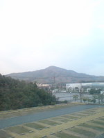 d402a61a.jpg