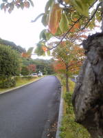 e2480974.jpg