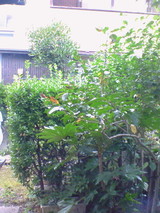 f72f2b56.jpg