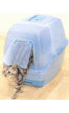 e1181eca.gif