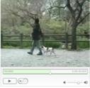 inu1