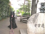 かっぱと2ショット