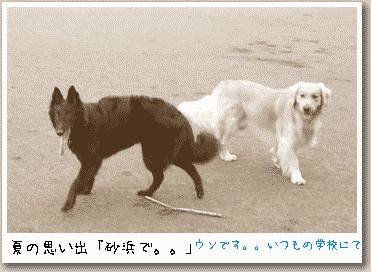 すまん