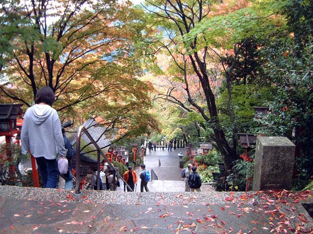 http://image.blog.livedoor.jp/soranihoshigakirei/imgs/4/8/48facfbe.jpg