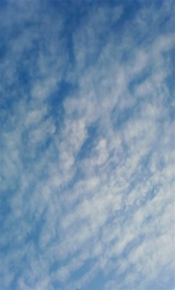 f0687ff6.jpg