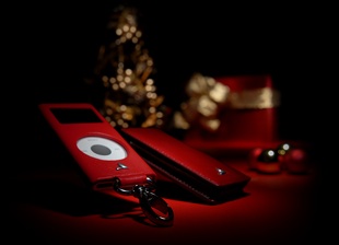 Vaja iPodnano2G専用ケース