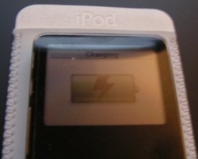 純正iPodnanoケース