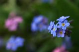 468beff3.jpg