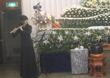 ongaku