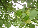 s-IMG_2692