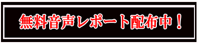 �䡼��������̵��������ݡ���