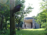 yukarinomori