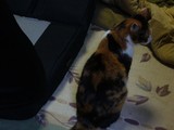 ����ˤ��Ƥⵤ�ˤʤ�