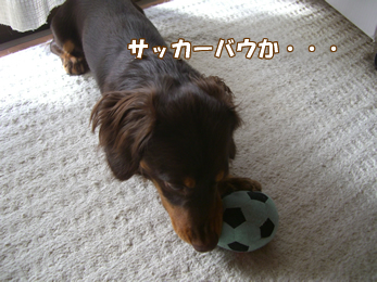 souther_20090108c