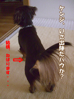 souther_20090108h