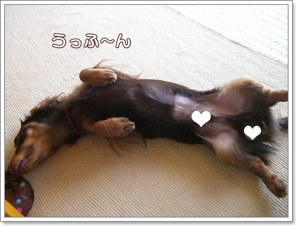 souther_20090628c