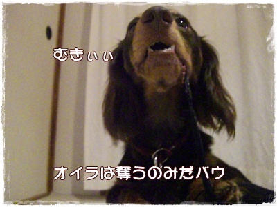 souther_20090703f