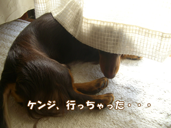 souther_20090108j