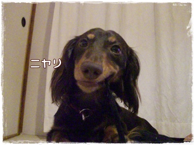 souther_20090703e