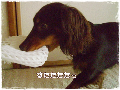souther_20090629e