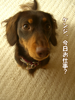 souther_20090108a