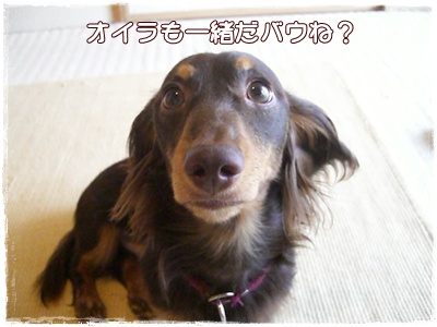 souther_20090627b