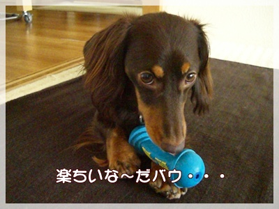 souther_20090801a