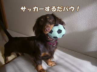 souther_20081220f